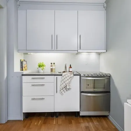 شقة Classic Oslo-appartment *