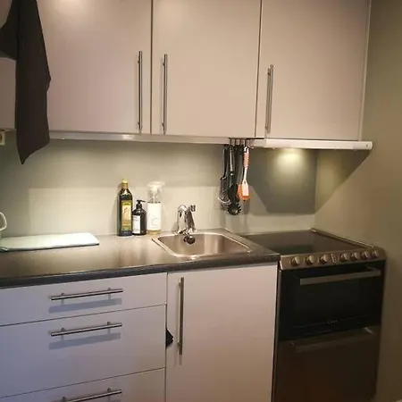 Classic Oslo-appartment